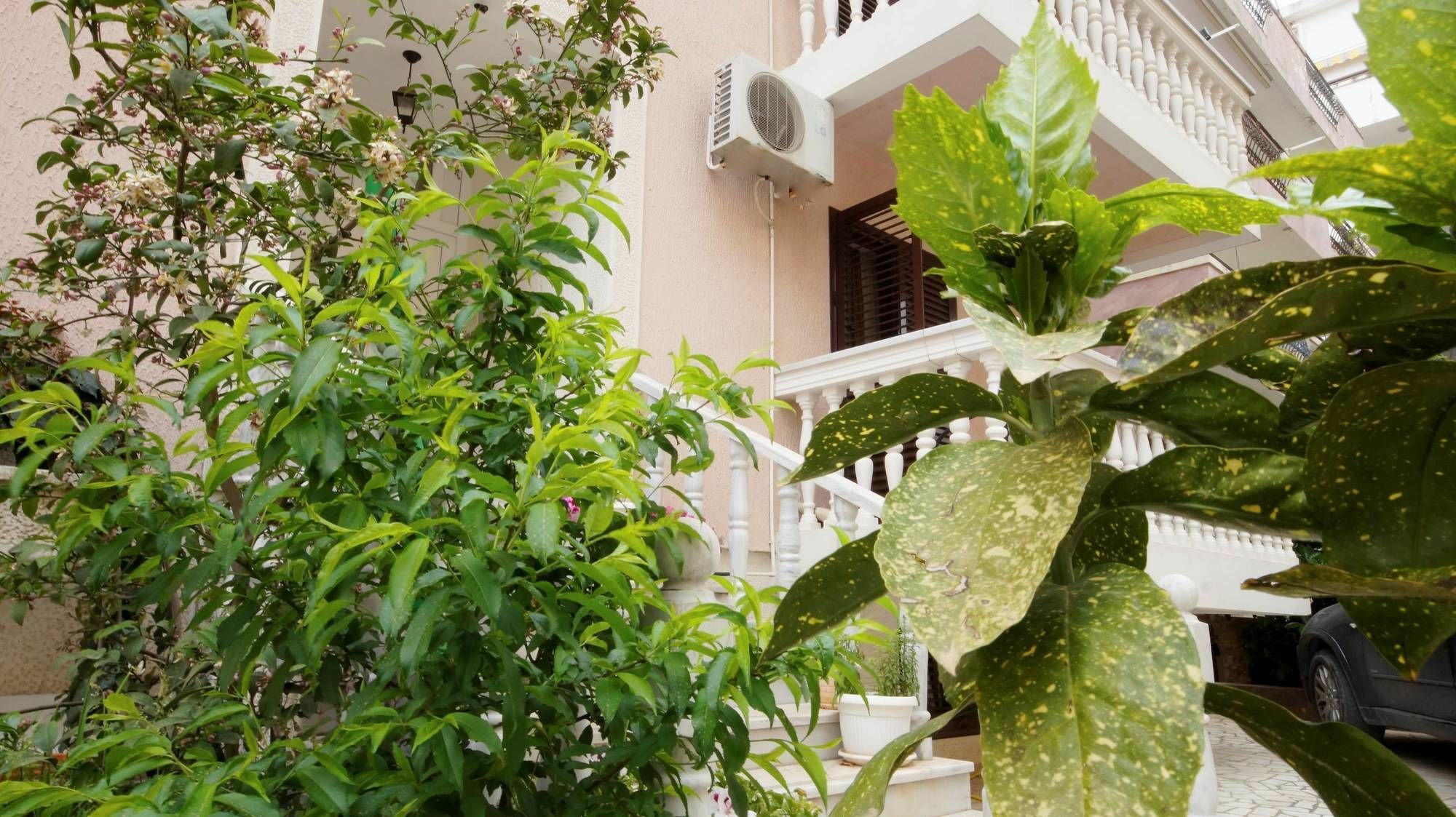 Apartment Glomazic Budva Exterior photo